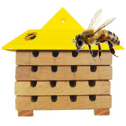 ruche pour abeilles solitaires - caillard